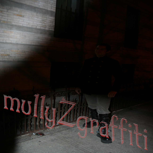 MullyZgraffiti:graphic art