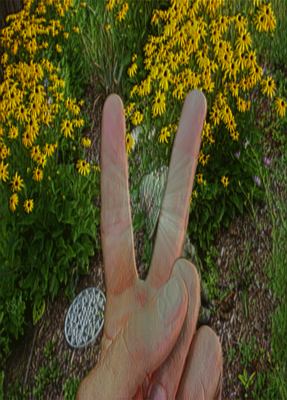 photo of hand peace sign in front of a flower garden