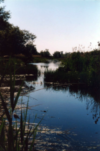 marsh wetland