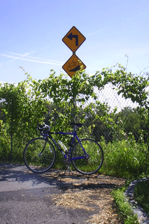 bicycle parked beneath a road sign